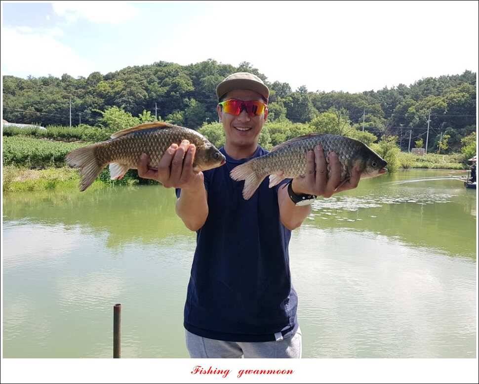 실리곡 435 cm 대물칠성지화곡지 조황 (조황조행기 - 특파원조황)