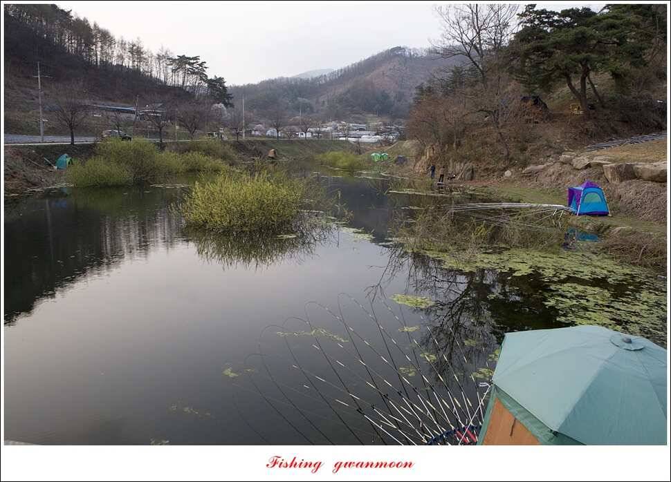 매전지 사짜달천강 사짜추평지 조황 (조황조행기 - 특파원조황)