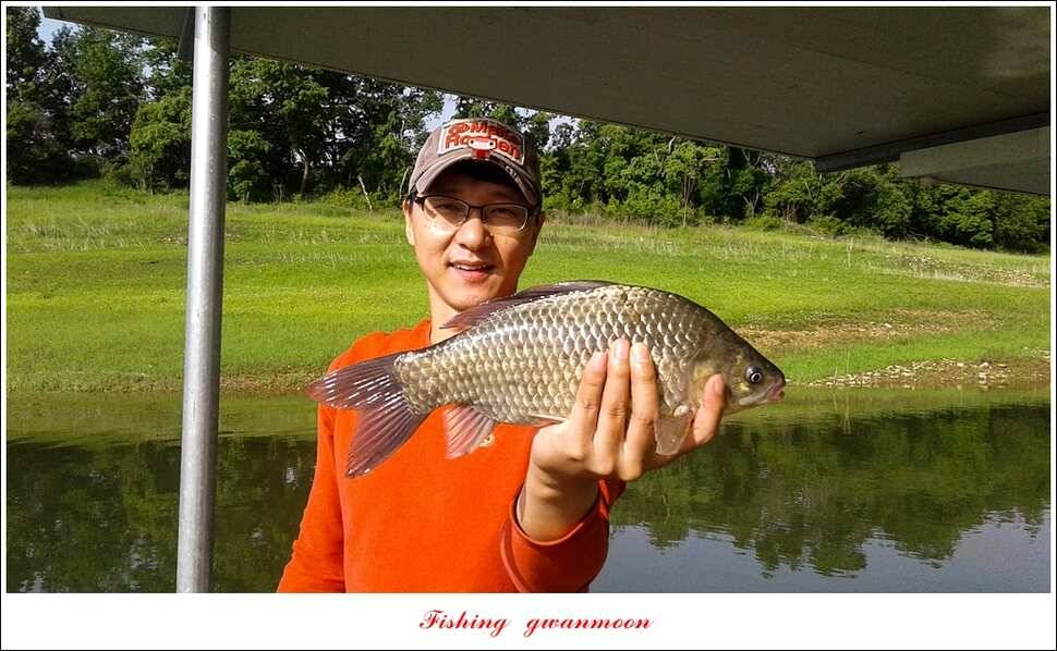 돌감 사짜한버들실리곡청풍 신리 월척 조황 소식 (조황조행기 - 특파원조황)