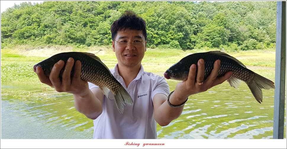 신매 42 cm돌감신리실리곡제일화곡지 조황 (조황조행기 - 특파원조황)