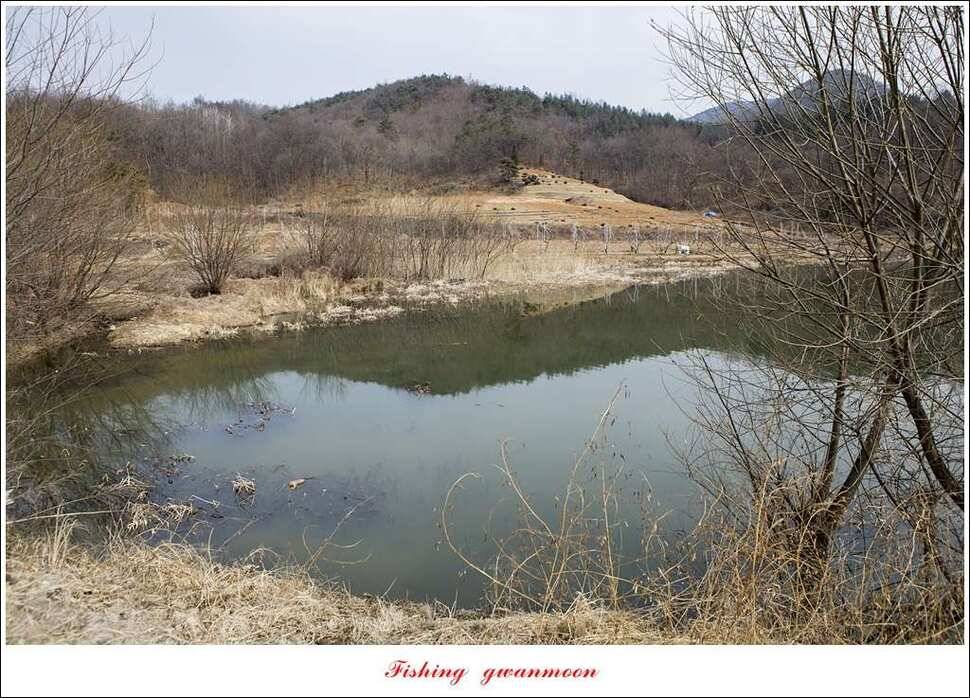 충주괴산권 물낚시 (조황조행기 - 특파원조황)