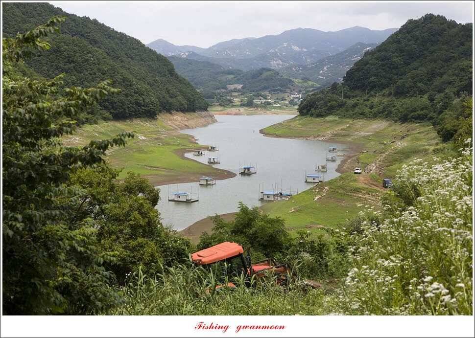 충주호 오름수위 (조황조행기 - 특파원조황)