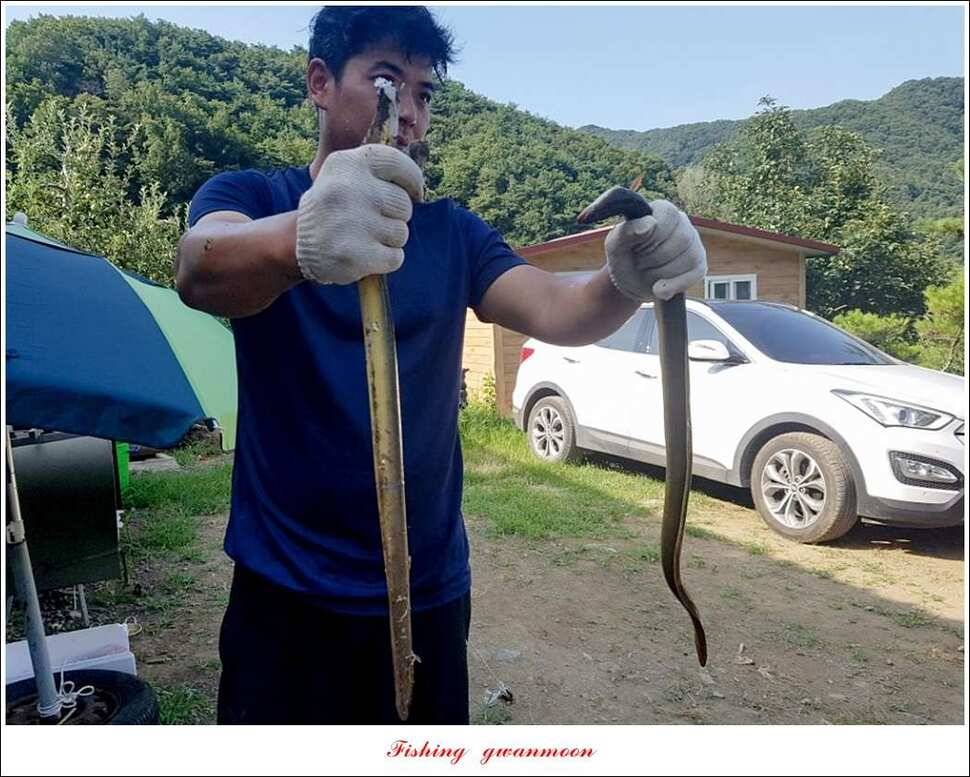 화곡지서유석 장어신리실리곡 월척 조황 (조황조행기 - 특파원조황)