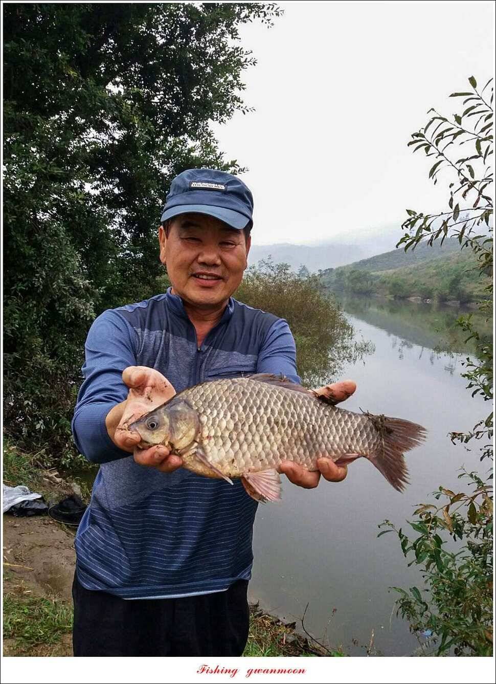 한버들실리곡매전지 조황 (조황조행기 - 특파원조황)