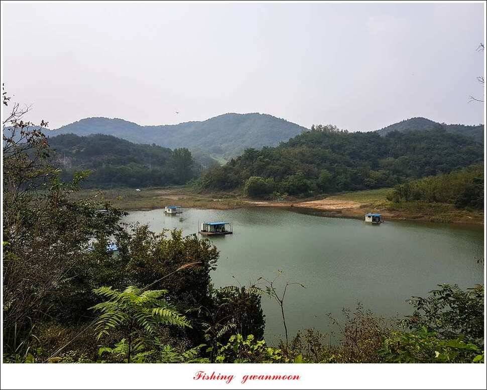 병호실리곡달천강 월척 및 마릿수 조황 (조황조행기 - 특파원조황)