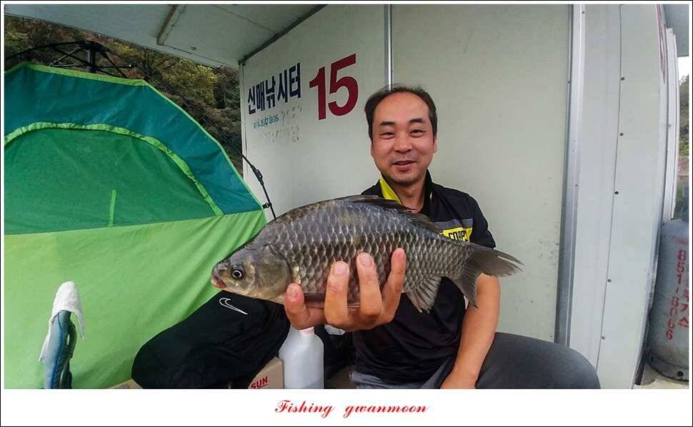 신매윤병호돌감 좌대 월척 조황 (조황조행기 - 특파원조황)