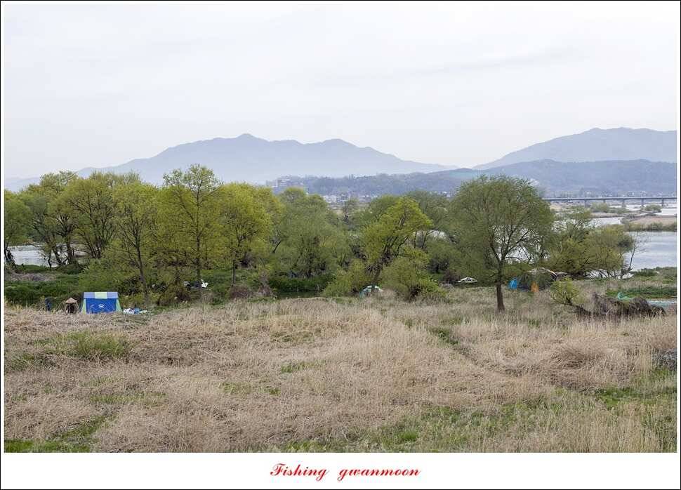 실리곡충주호 노지달천강괴산권 조황 (조황조행기 - 특파원조황)