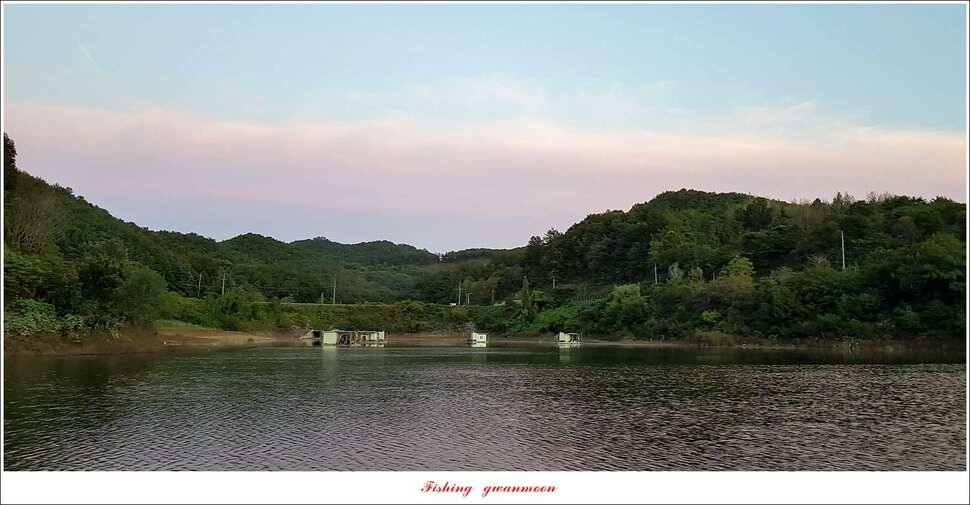 실리곡 39 cm신리 조황 및 충주권 대물 조황 (조황조행기 - 특파원조황)