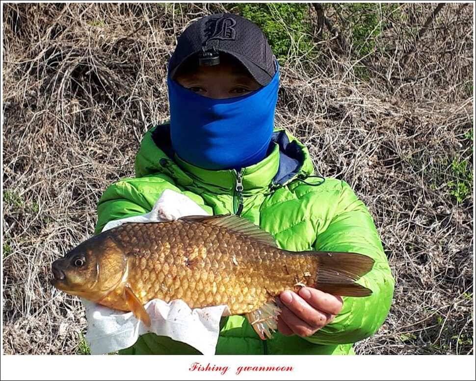 실리곡 사짜화곡지 사짜한버들 38cm 조황 (조황조행기 - 특파원조황)