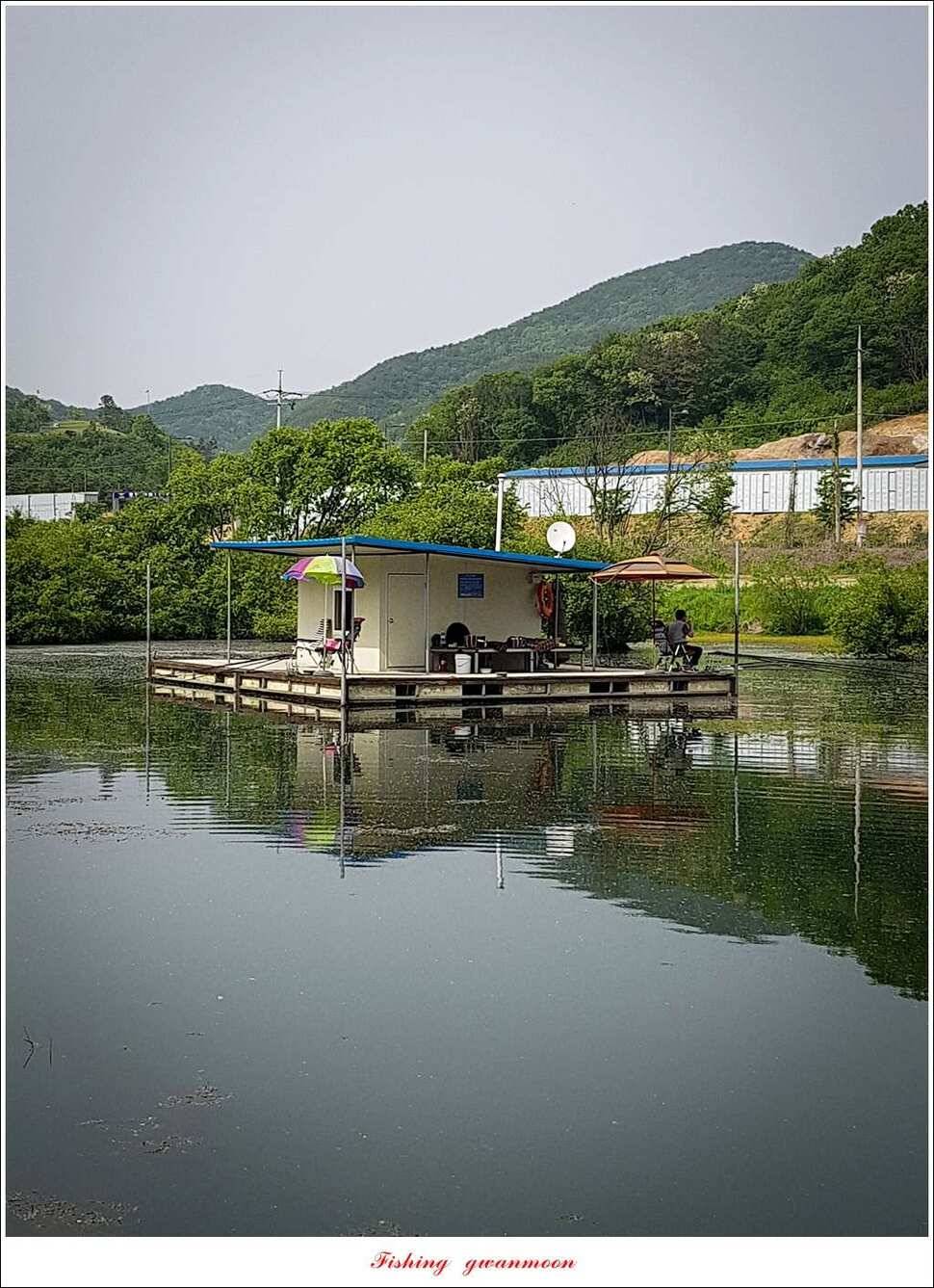 화곡지 사짜돌감 월척 (조황조행기 - 특파원조황)