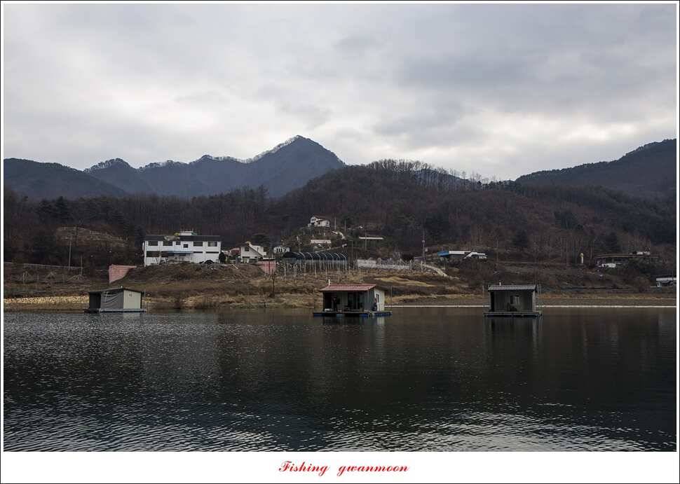 충주호 물낚시와 빙어 낚시 조황 (조황조행기 - 특파원조황)