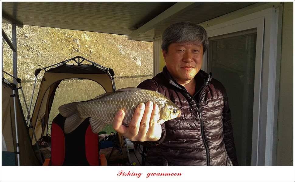 실리곡 사짜화곡지 사짜한버들 38cm 조황 (조황조행기 - 특파원조황)
