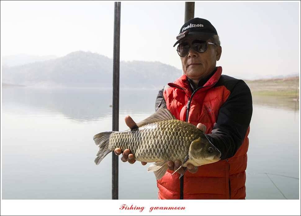 한버들 435 cm 대물 조황 (조황조행기 - 특파원조황)