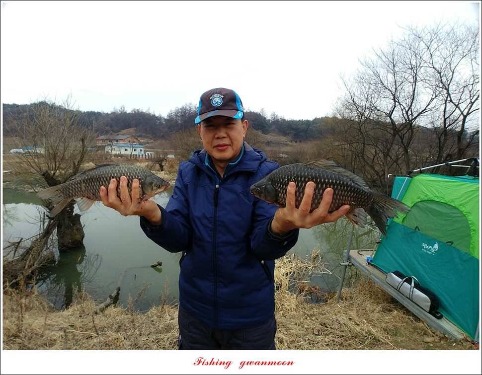 칠성지화곡지매전지추산지 현황 (조황조행기 - 특파원조황)