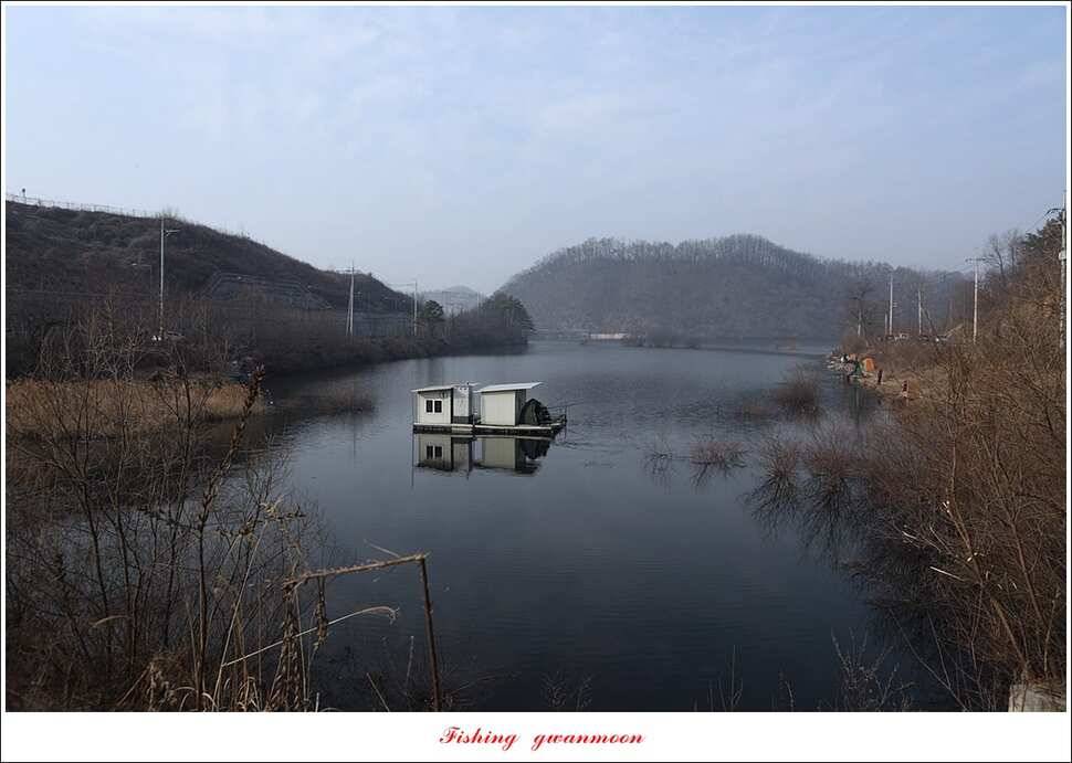 화곡지 사짜 및 마릿수 월척 칠성지 조황 (조황조행기 - 특파원조황)