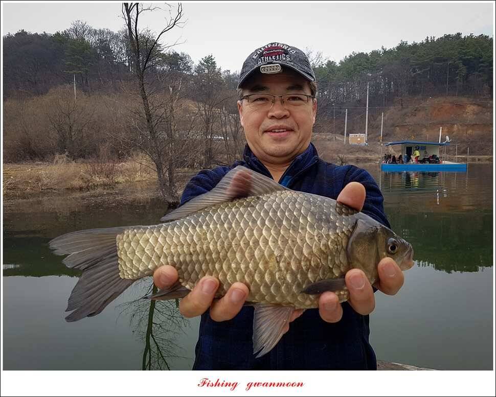 화곡지 사짜 및 마릿수 월척 조황 (조황조행기 - 특파원조황)