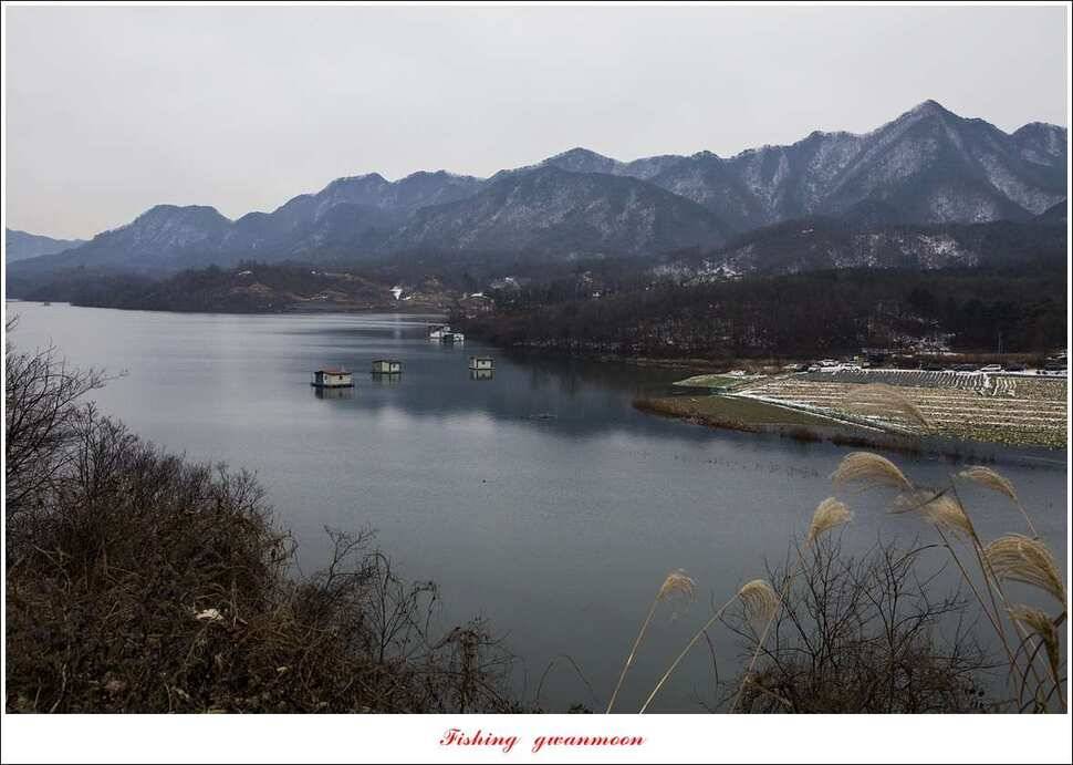 제일 낚시터 월척 조황 (조황조행기 - 특파원조황)