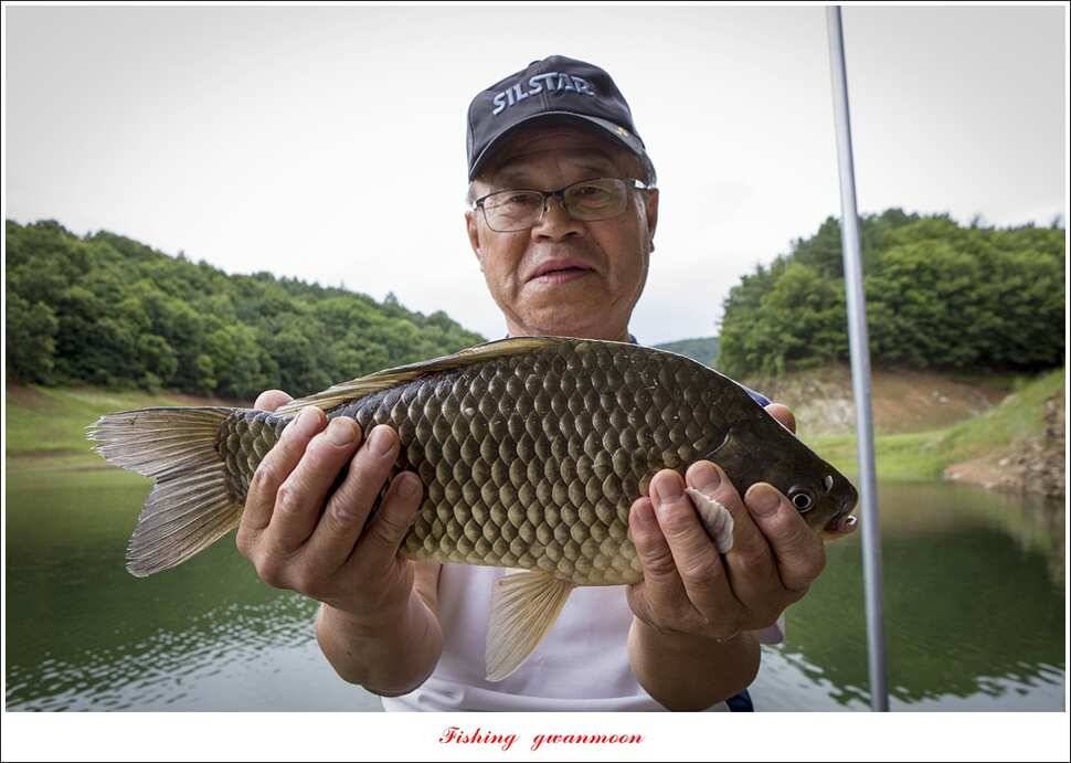 충주호 오름수위 대박 조황 (조황조행기 - 특파원조황)