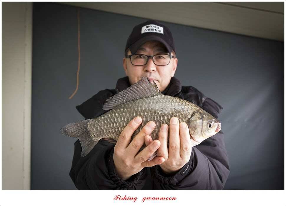 제일 낚시터 월척 조황 (조황조행기 - 특파원조황)