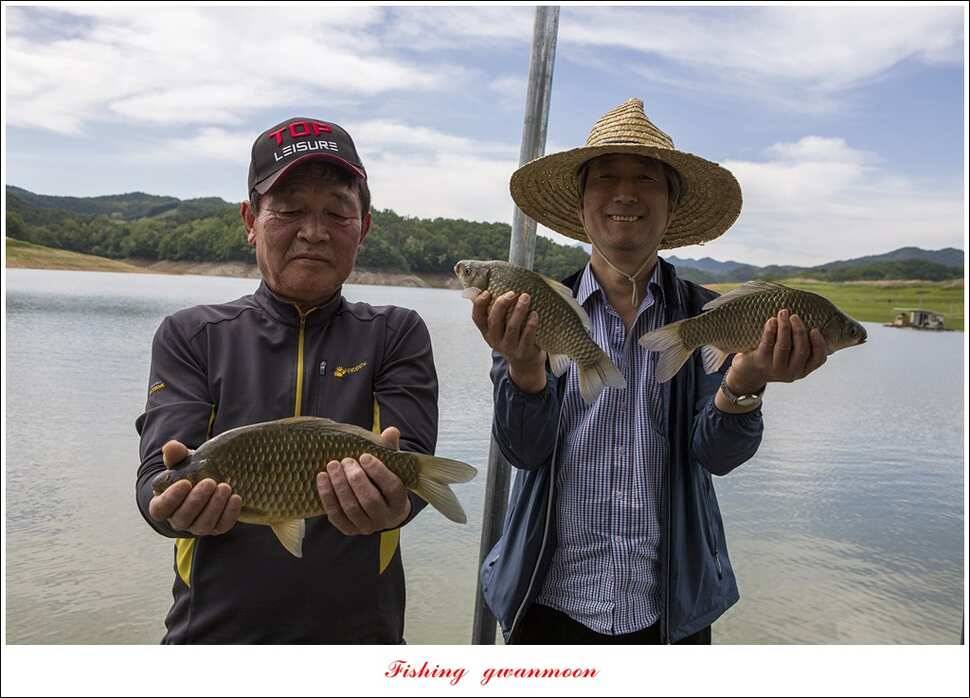 청풍 신리 42 cm칠성지 44 cm한버들 월척 조황 (조황조행기 - 특파원조황)