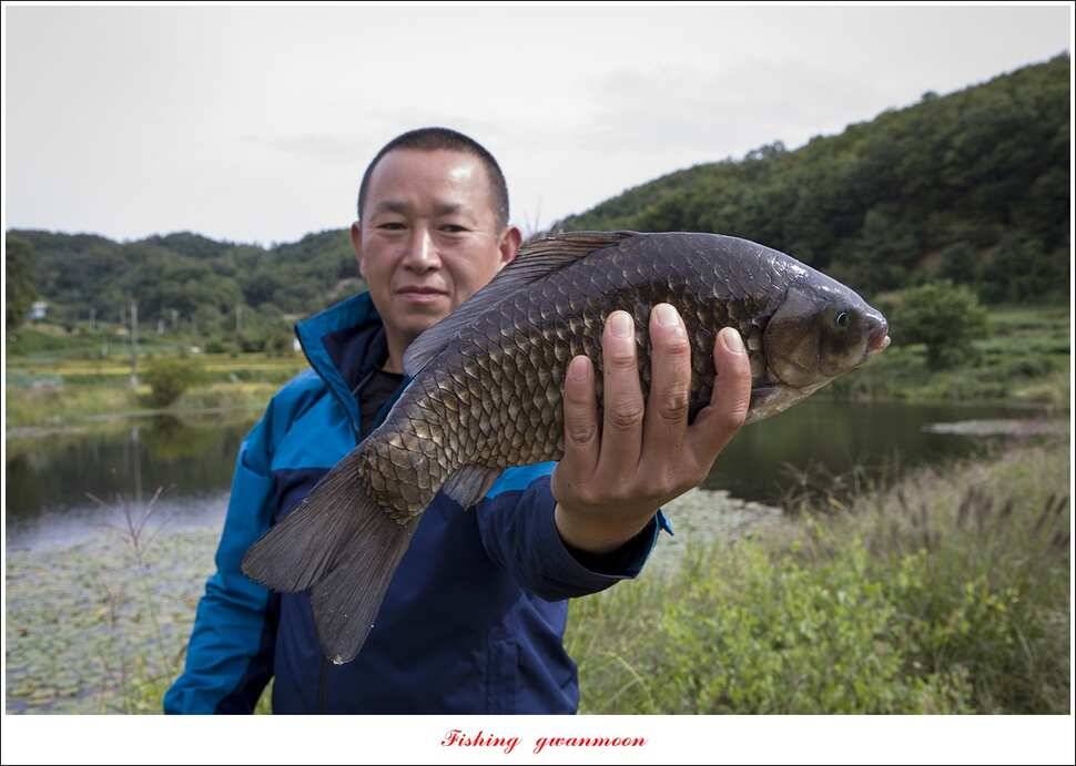 실리곡 39 cm신리 조황 및 충주권 대물 조황 (조황조행기 - 특파원조황)