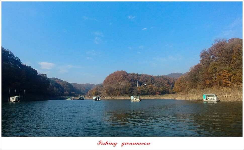 화곡지한버들돌감실리곡신매 조황 (조황조행기 - 특파원조황)