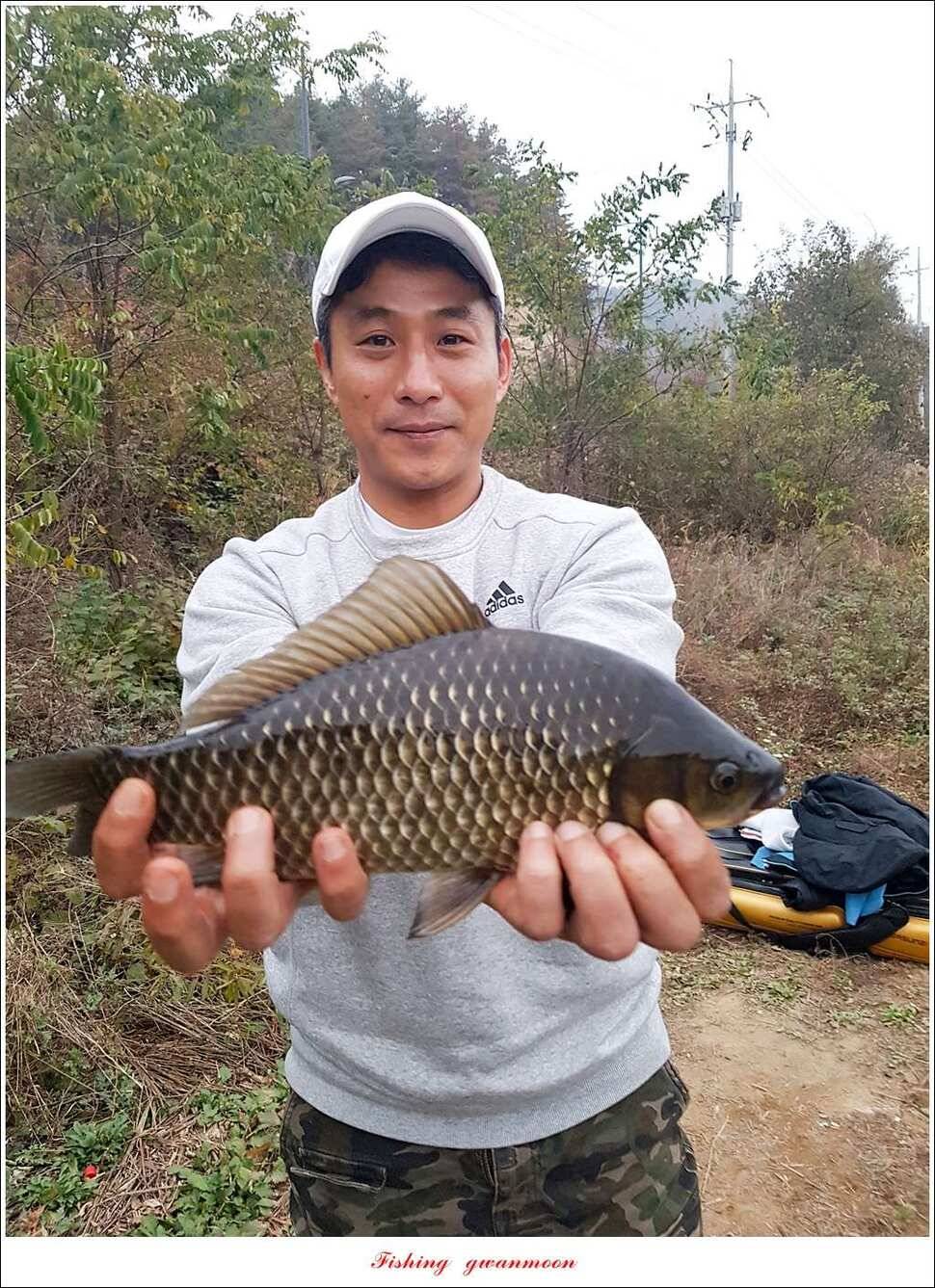 화곡지한버들돌감실리곡신매 조황 (조황조행기 - 특파원조황)