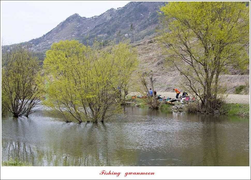 실리곡충주호 노지달천강괴산권 조황 (조황조행기 - 특파원조황)