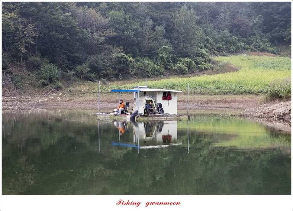 한버들실리곡매전지 조황 (조황조행기 - 특파원조황)