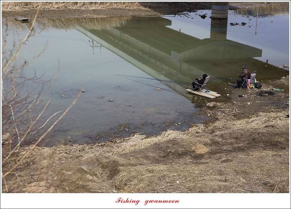 충주괴산권 물낚시 (조황조행기 - 특파원조황)