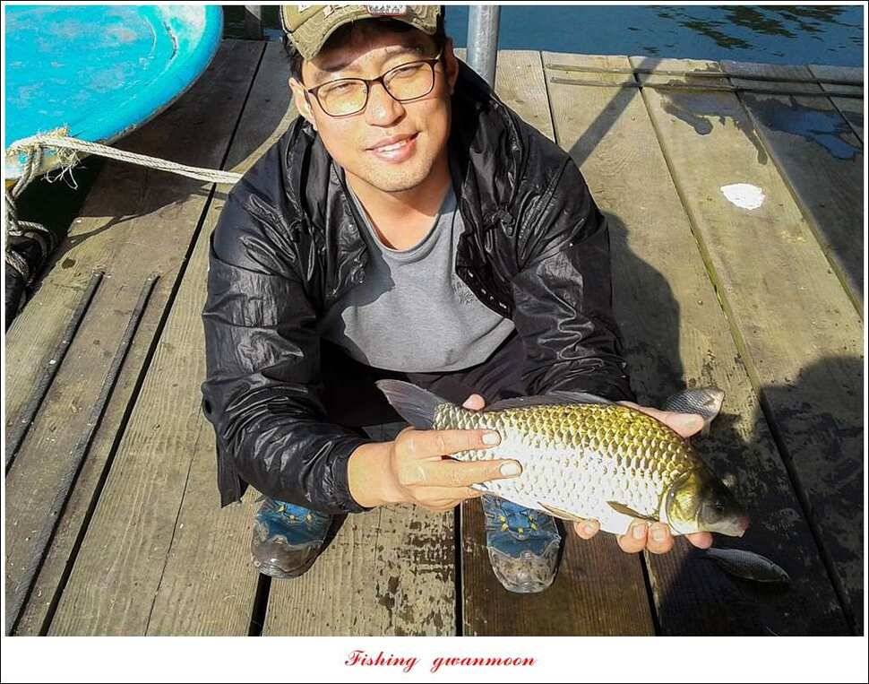 한버들 허리급실리곡 월척 및 마릿수 조황 (조황조행기 - 특파원조황)
