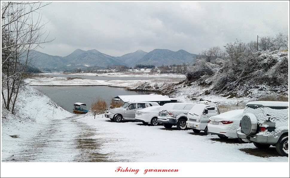 제일 47 cm 대물실리곡한버들 마릿수 월척 조황 (조황조행기 - 특파원조황)