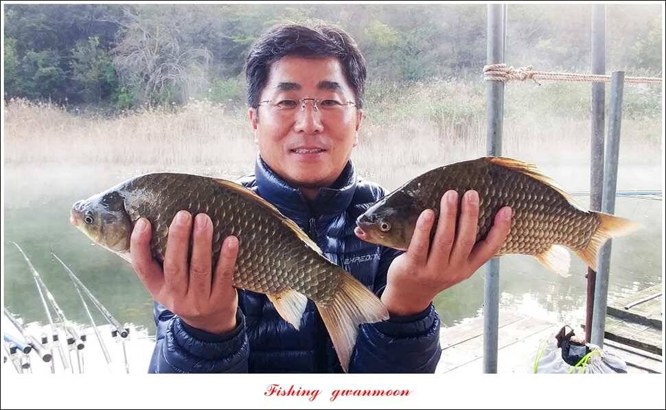 돌감 375 cm실리곡 월척 조황 (조황조행기 - 특파원조황)