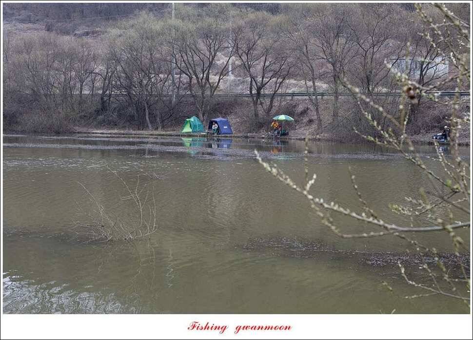 충주호 첫 붕어달천강 월척 (조황조행기 - 특파원조황)