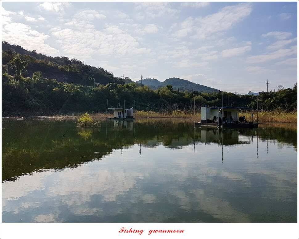 한버들실리곡매전지 조황 (조황조행기 - 특파원조황)