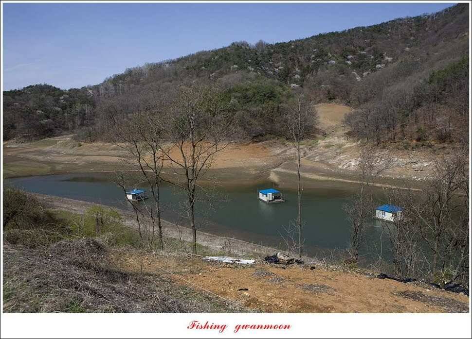 실리곡충주호 노지달천강괴산권 조황 (조황조행기 - 특파원조황)