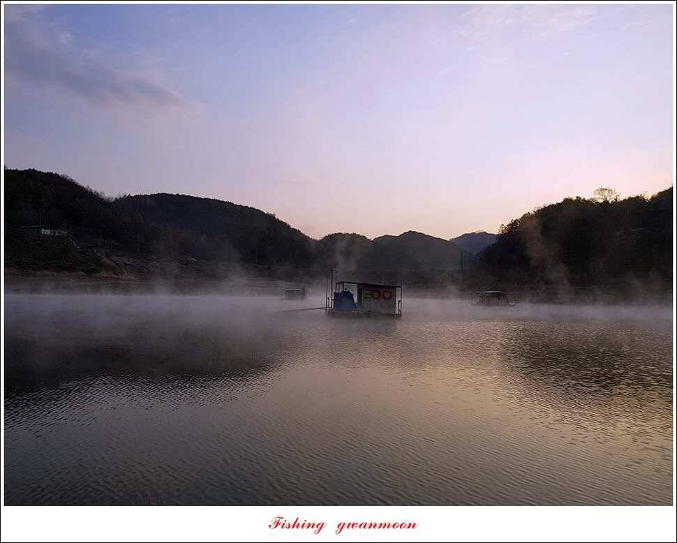 신매 415 cm실리곡 허리급 및 마릿수 월척 (조황조행기 - 특파원조황)