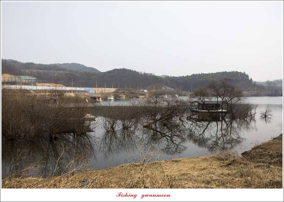 화곡지 사짜 및 마릿수 월척 조황 (조황조행기 - 특파원조황)