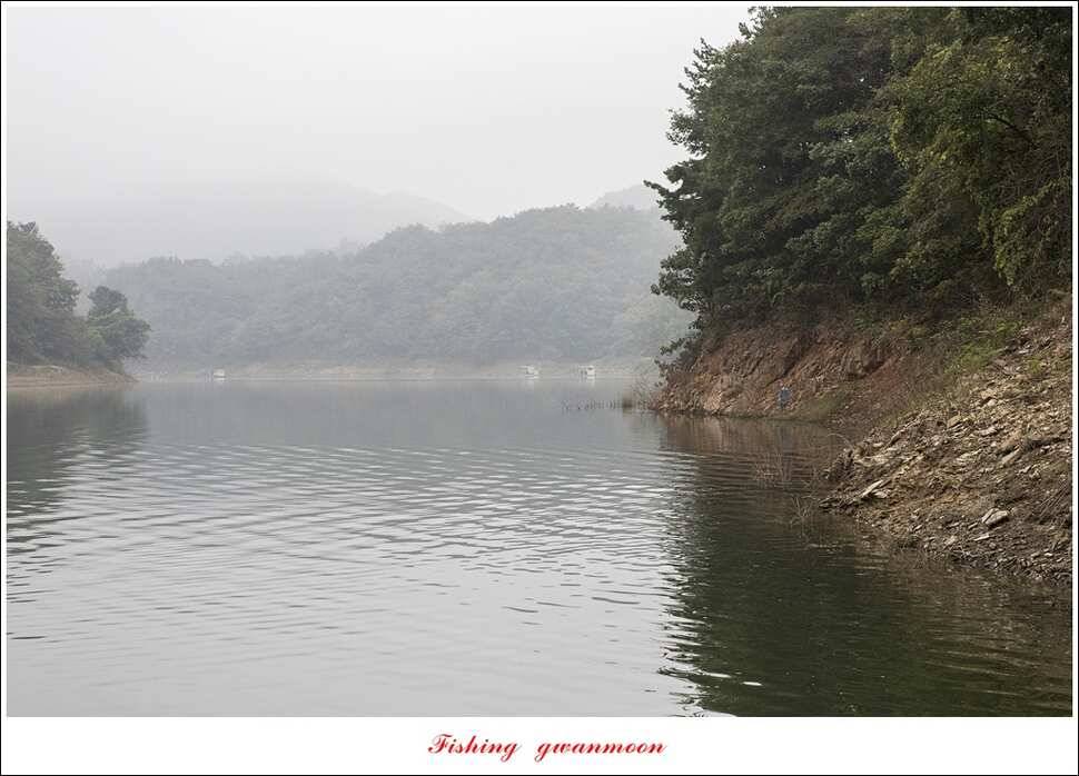 한버들실리곡매전지 조황 (조황조행기 - 특파원조황)