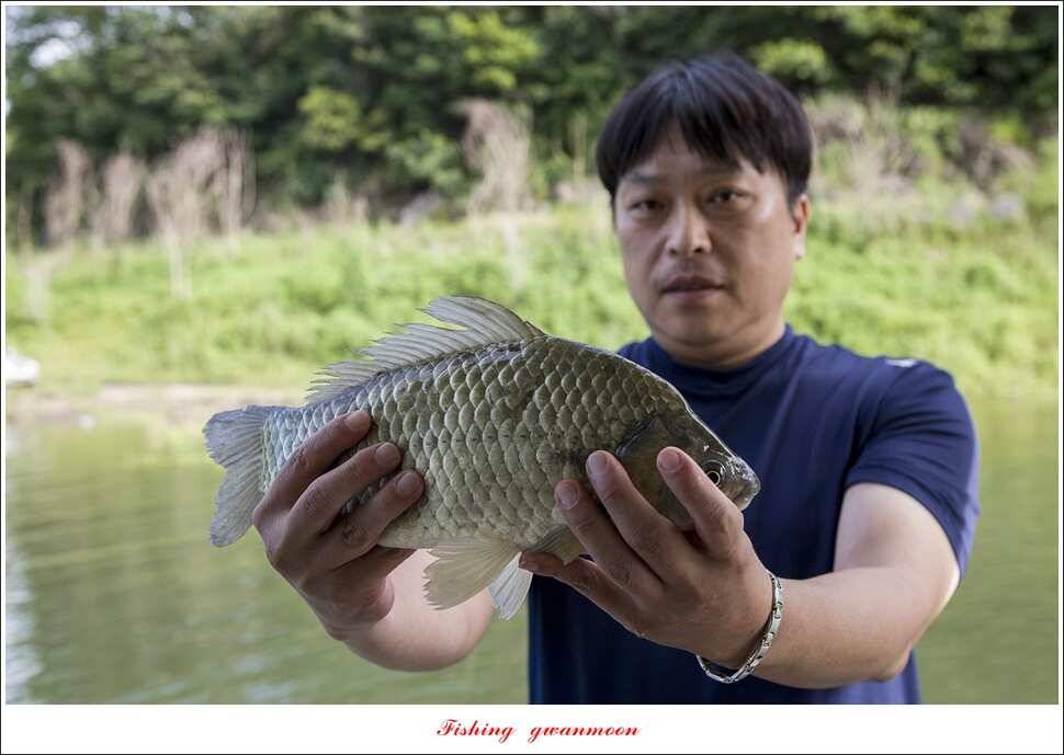 신매 445 cm대물 조황 (조황조행기 - 특파원조황)
