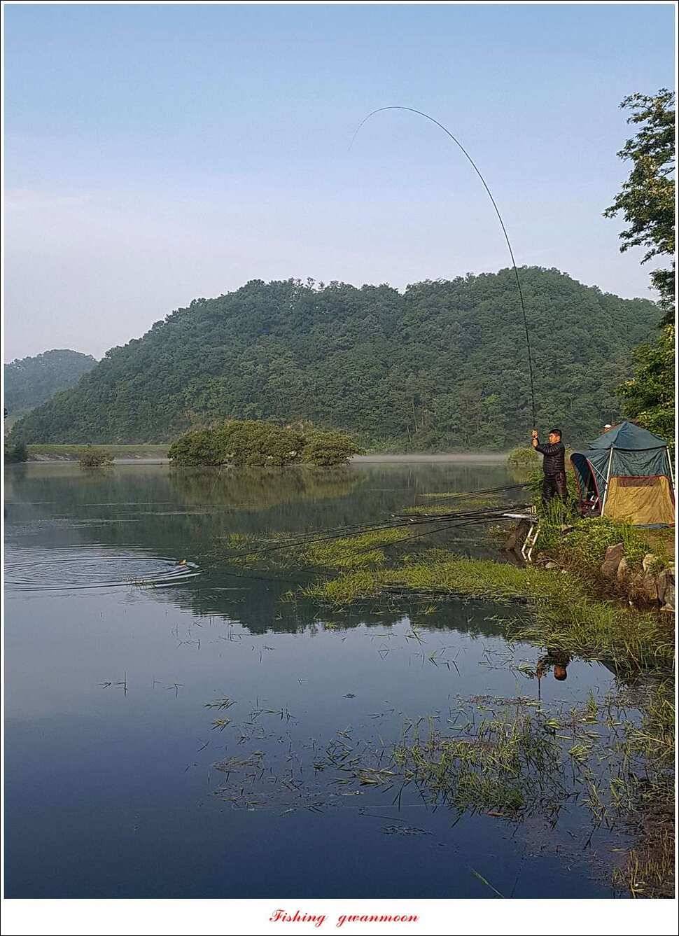 돌감 40 cm40 cm신리 42 cm 화곡지 사짜 조황 (조황조행기 - 특파원조황)