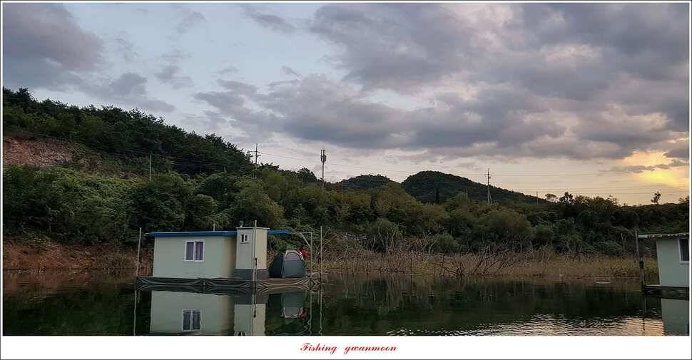 실리곡 39 cm신리 조황 및 충주권 대물 조황 (조황조행기 - 특파원조황)