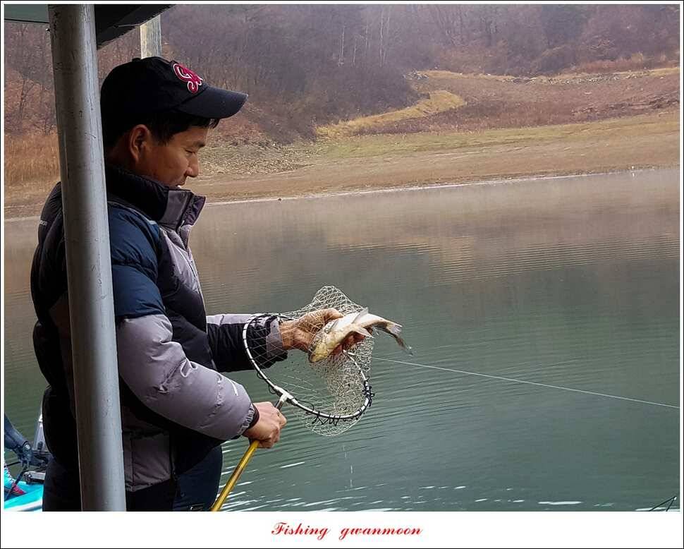 한버들 38 cm 및 마릿수 월척 실리곡 월척 조황 (조황조행기 - 특파원조황)