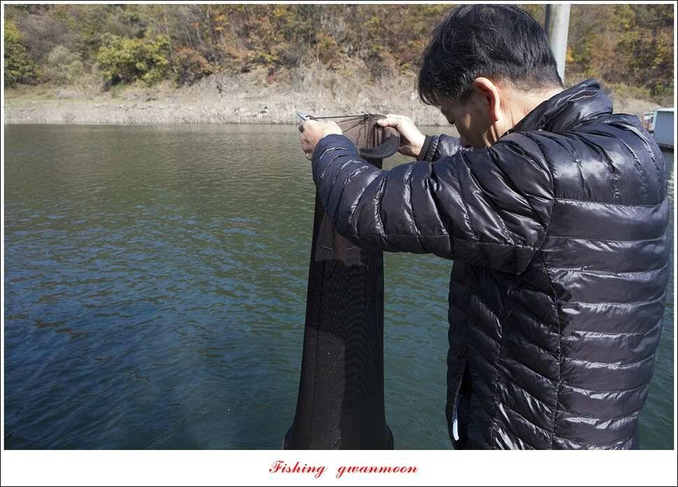 제일 44 cm418 cm신매 허리급 월척 (조황조행기 - 특파원조황)