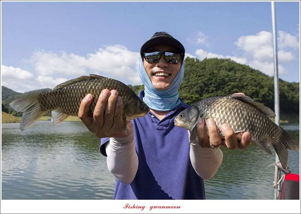 신매 435 cm40 cm청풍 신리 월척 조황 (조황조행기 - 특파원조황)