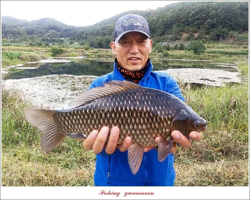 돌감늘푸른달천강 조황 및 소류지 사짜 (조황조행기 - 특파원조황)
