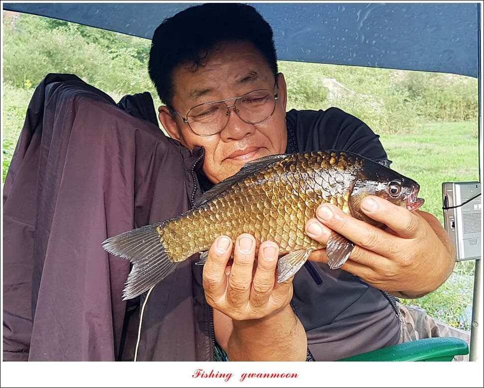 추평지화곡지한버들두무소달천강소류지 조황 (조황조행기 - 특파원조황)