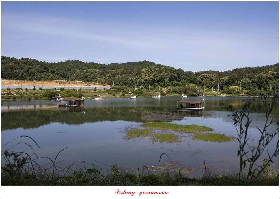 신매돌감화곡지 월척 조황 (조황조행기 - 특파원조황)