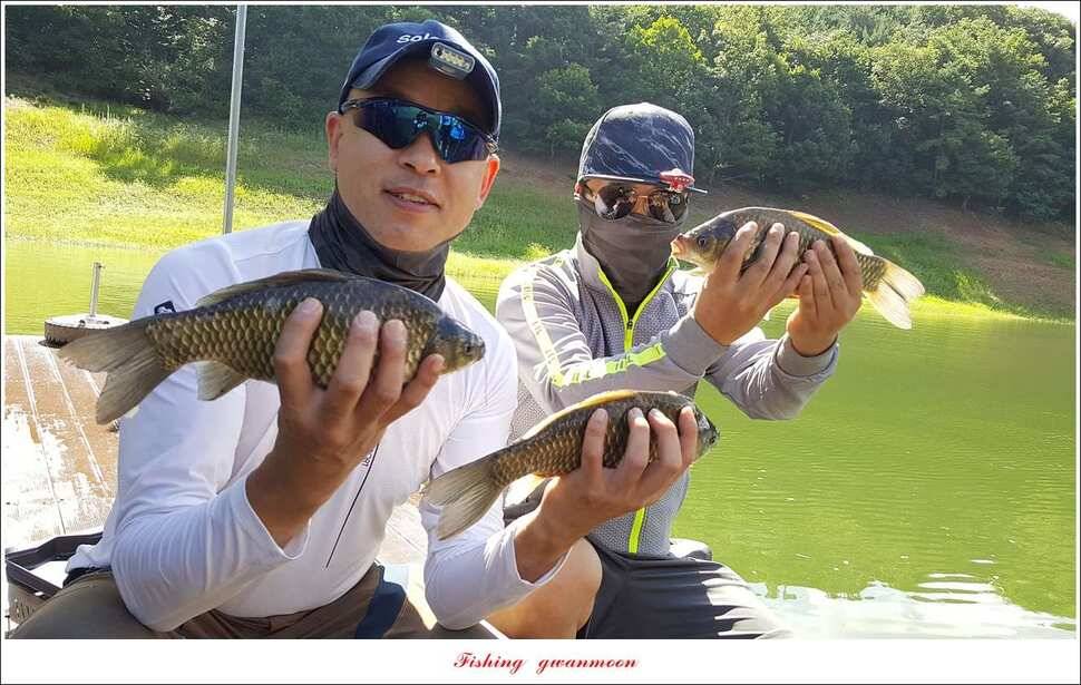 신매 405 cm서유석 장어돌감실리곡신리 월척 조황 (조황조행기 - 특파원조황)