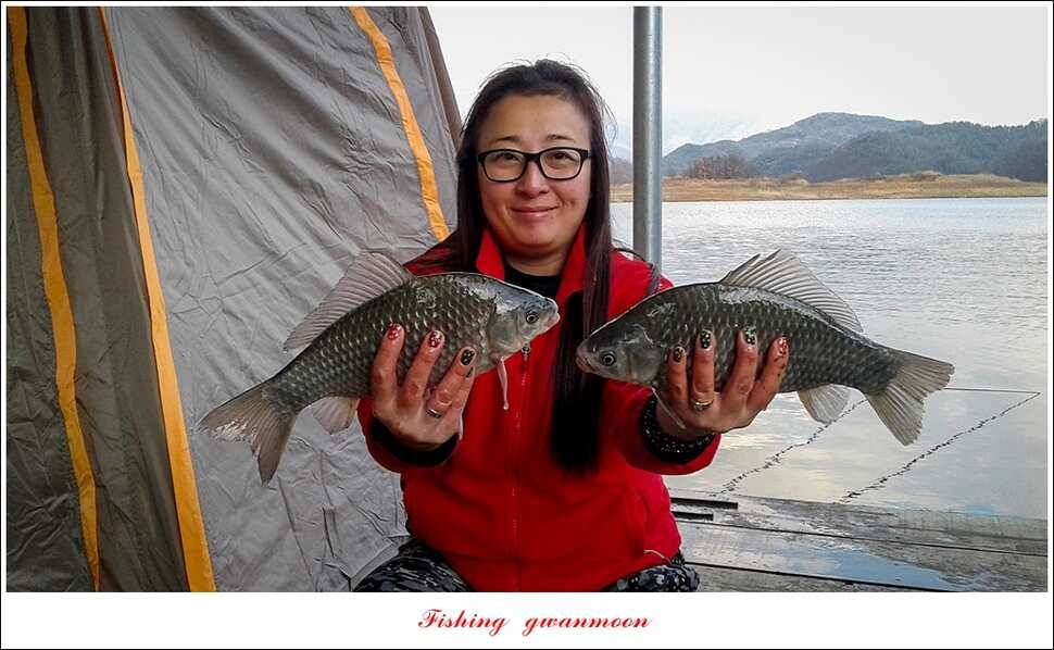 제일 47 cm 대물실리곡한버들 마릿수 월척 조황 (조황조행기 - 특파원조황)